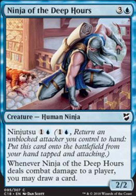Hovedbilde Ninja of the Deep Hours