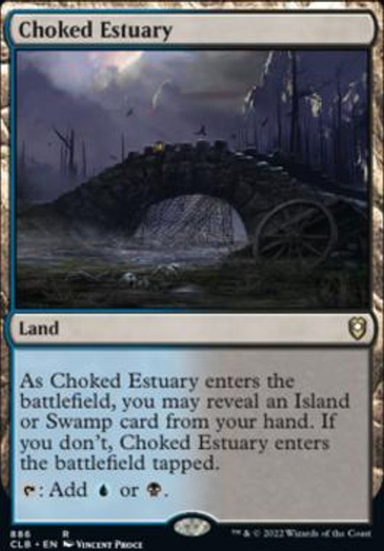 Choked Estuary