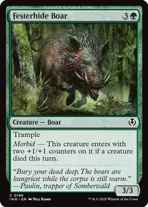 Hovedbilde Festerhide Boar