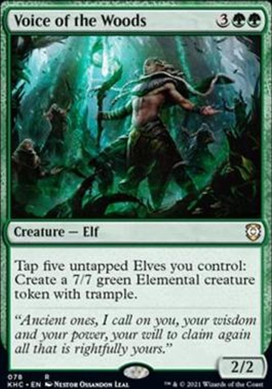Voice of the Woods