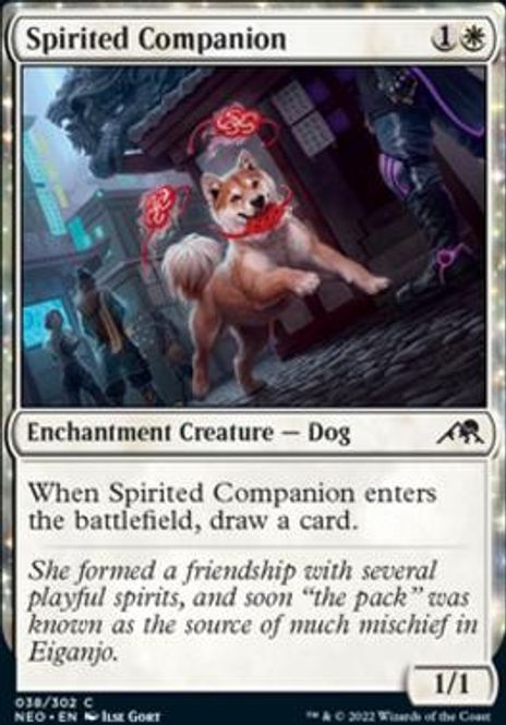 Hovedbilde Spirited Companion