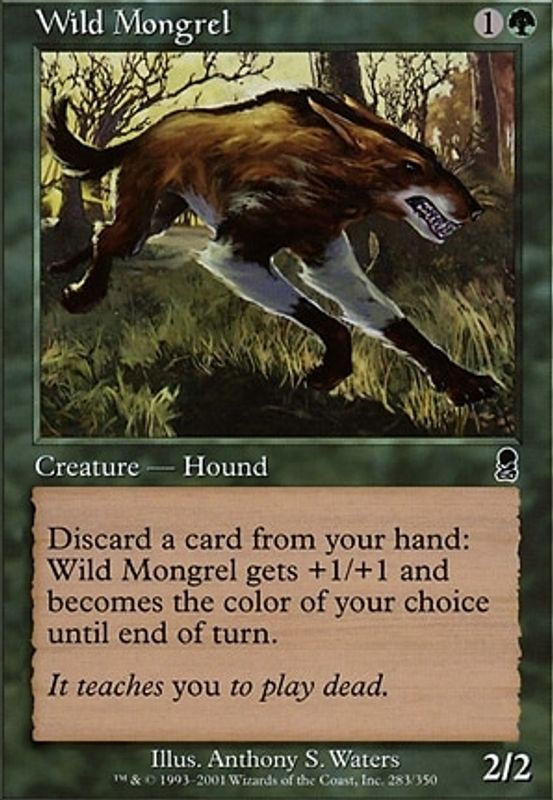 Wild Mongrel