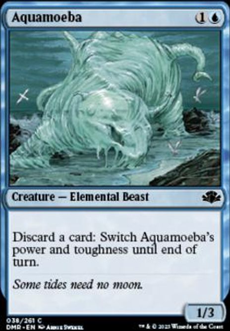 Hovedbilde Aquamoeba