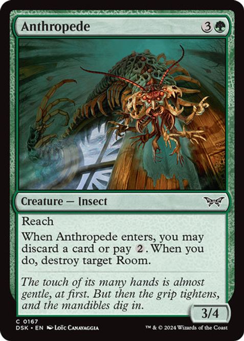 Hovedbilde Anthropede