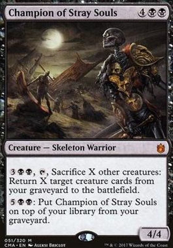 Champion of Stray Souls