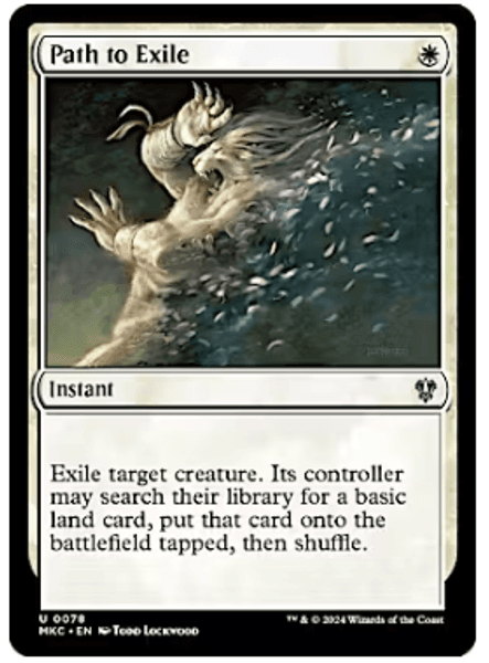 Hovedbilde Path to Exile