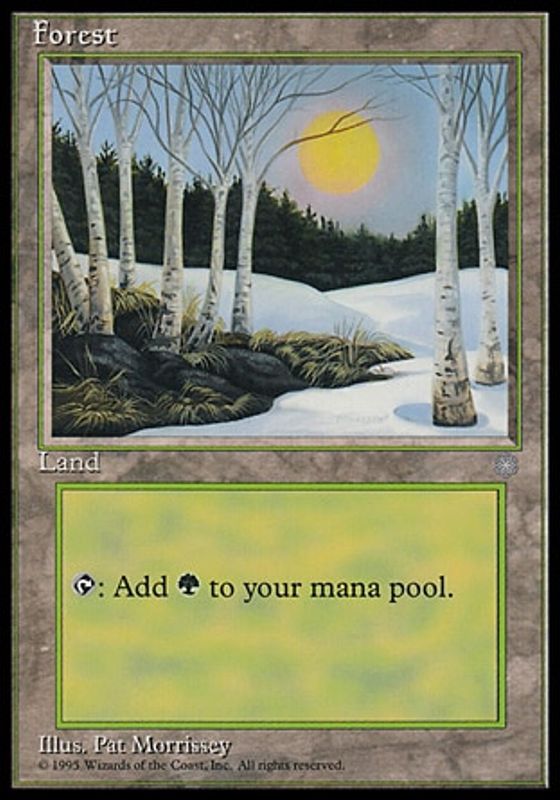 Forest (B)