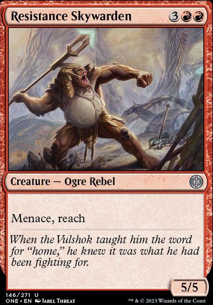 Hovedbilde Resistance Skywarden