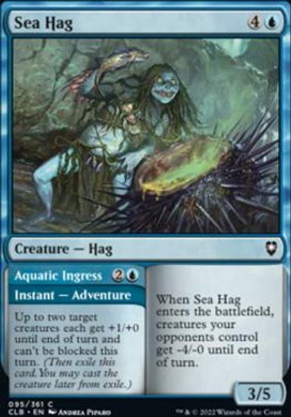Hovedbilde Sea Hag (foil)