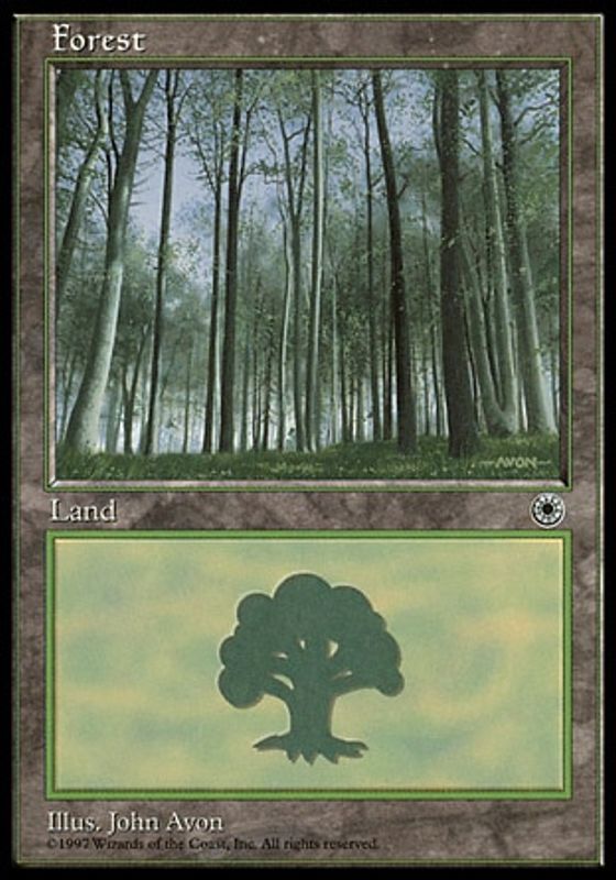 Forest (B)