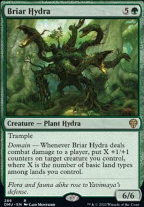Hovedbilde Briar Hydra